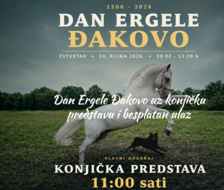 Lipicanci tijekom konjičke predstave u Pastuharni Đakovo