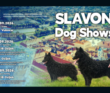 Psi različitih pasmina na međunarodnoj kinološkoj izložbi Slavonia Dog Show
