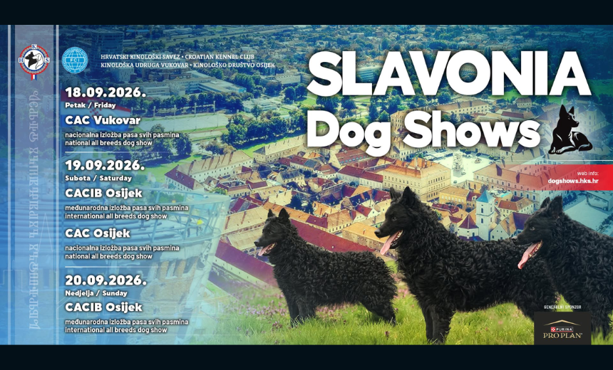 Psi različitih pasmina na međunarodnoj kinološkoj izložbi Slavonia Dog Show